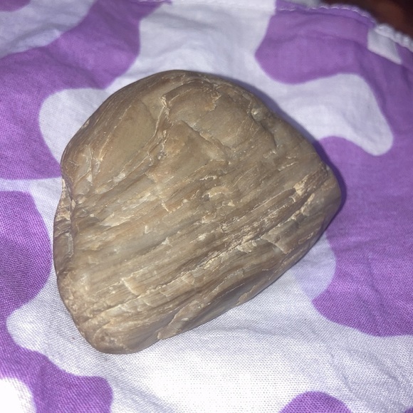 Chakra stone (Petrified wood) - Picture 4 of 4